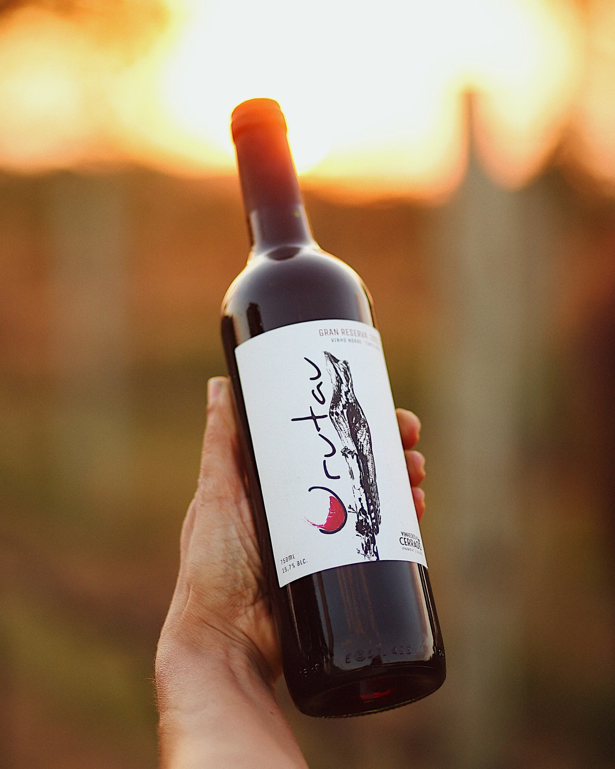 Garrafa de Urutau Gran Reserva 2021 no vinhedo